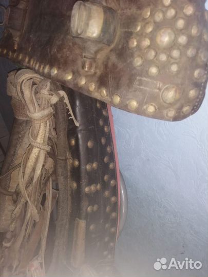 Сбруя для лошади