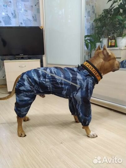 Дождевик для собаки средних пород