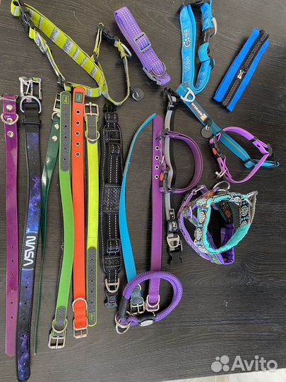 Ошейники,поводки для собак