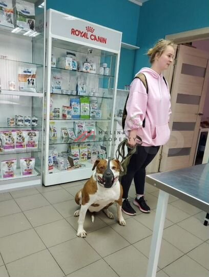 Продам торговое помещение, 64 м²