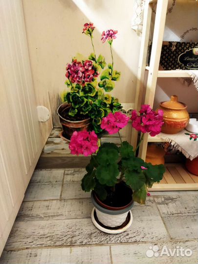 Художник роспись витрин,стен,мебели