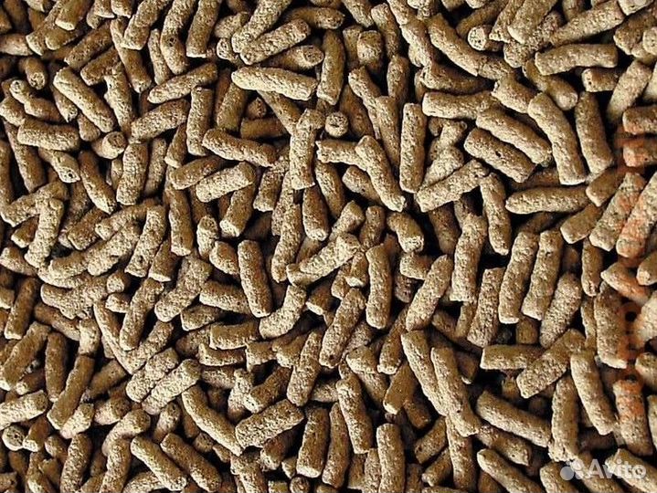 Стартовые корма для птиц любой породы