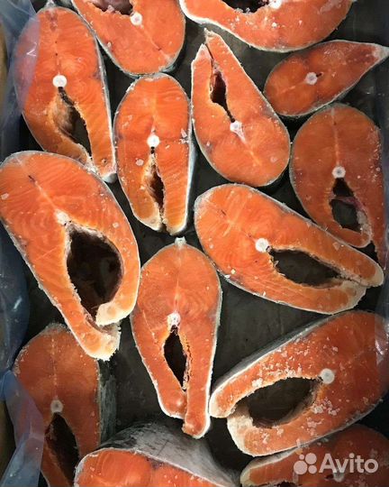 Форель морская