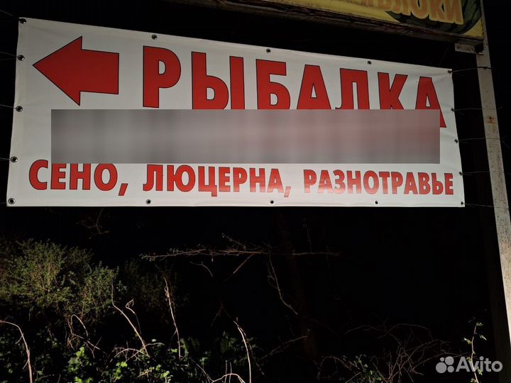 Рыбалка, отдых