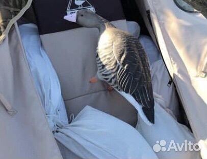 Полнокорпусные чучела гуся Greenhead Gear