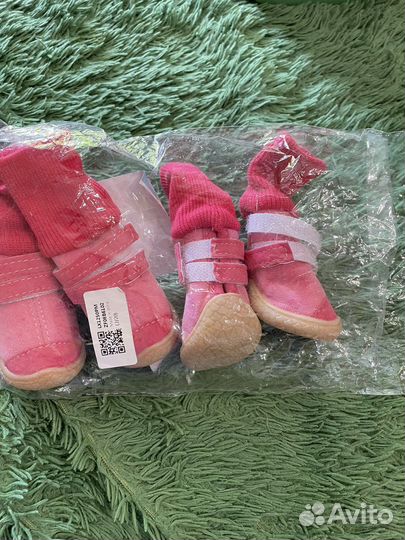 Обувь для маленьких собак