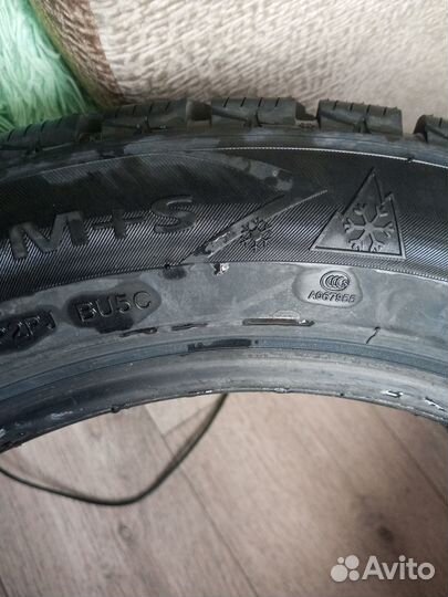 Pace Antarctica 5 205/55 R16 91H