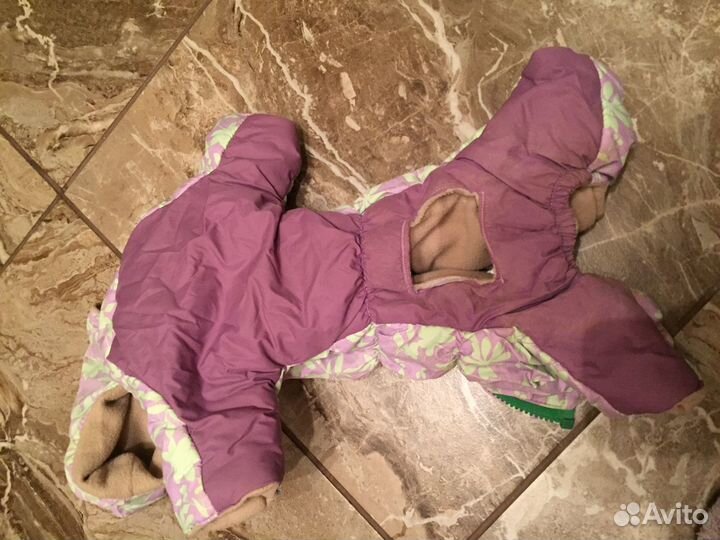 Костюм для собак (на Той-Терьер)