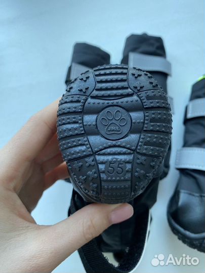 Обувь для собак