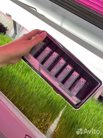 Витграсс - сок из ростков пшеницы