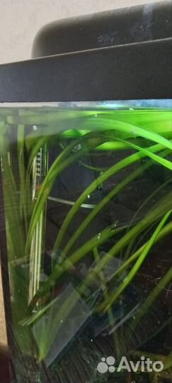 Аквариум с тумбой