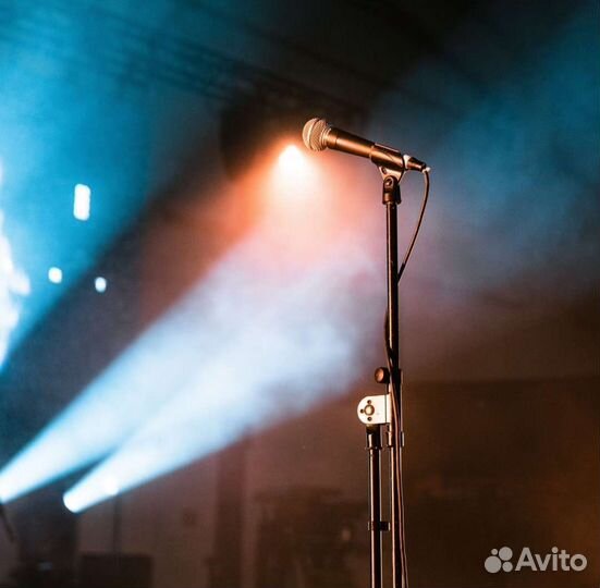 Онлайн занятия по ораторскому искусству