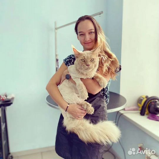 Стрижка животных на дому