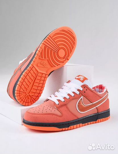 Nike SB Dunk Low SP Orange