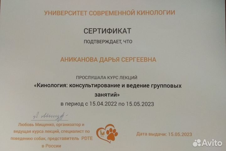 Выгул собак, кинолог