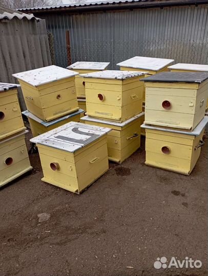 Улей для пчел бу