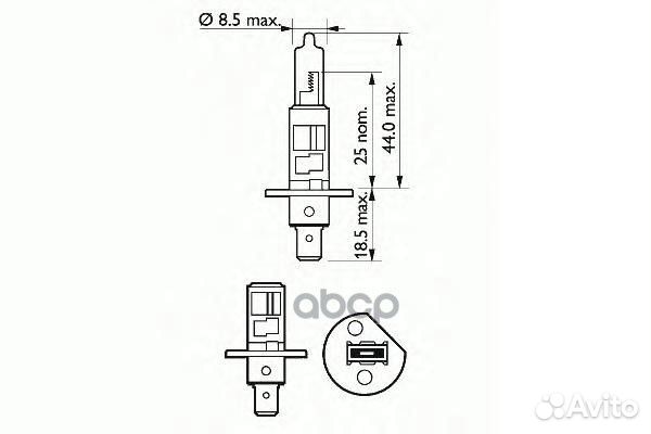 Лампа H1 (H1 Basic 12V 55W P14.5s) 202631 SCT
