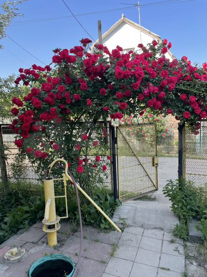 Дача 50 м² на участке 4,1 сот.