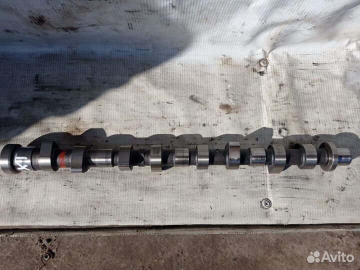 Распредвал впускной X-Trail T30 YD22 2.2DCI