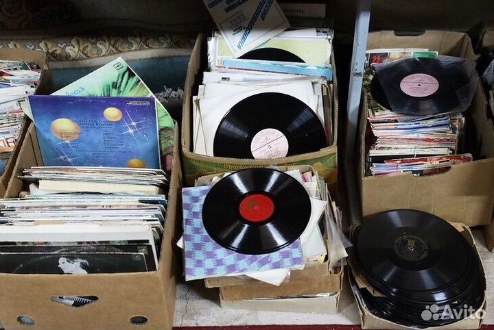 Скупка виниловых пластинок