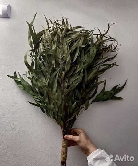 Веники для бани эвкалипт