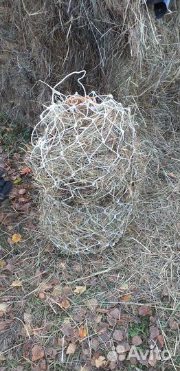 Рептух для сена