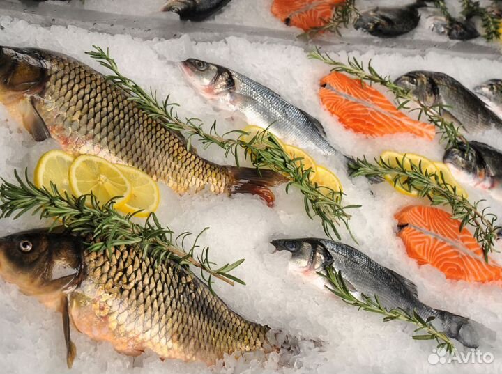 Продается рыбный магазин – готовый бизнес