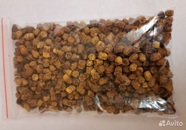 Перга пчелиная 2024