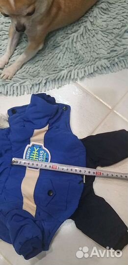 Одежда для маленьких собак