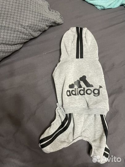 Комбинезон для маленькой собаки