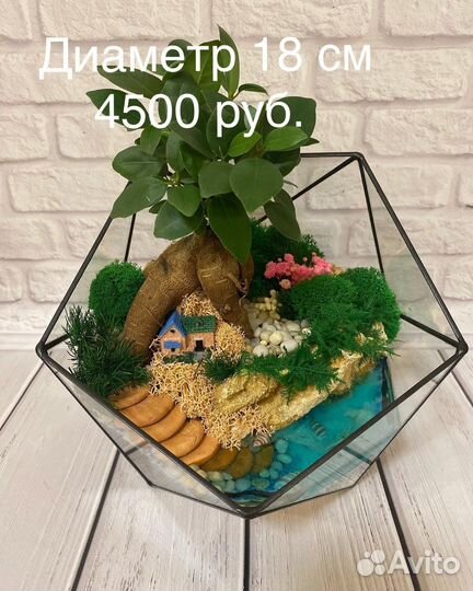 Флорариум Бонсай с Фикусом Гинсенг, Мирсиной