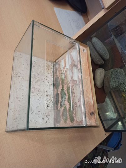 Формикарий для муравьев(ферма) б/у