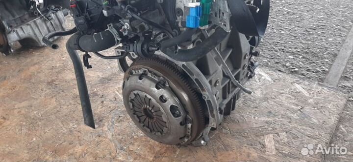 Двигатель Ford Focus hxdb