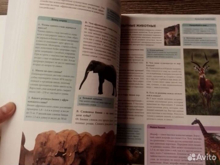 Книга Энциклопедия