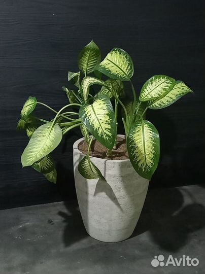 Горшки, Вазоны, Кашпо под заказ из бетона