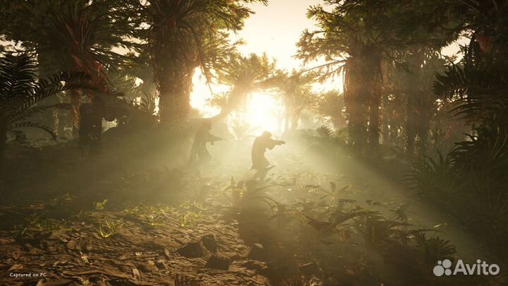 Helldivers 2 (Steam)