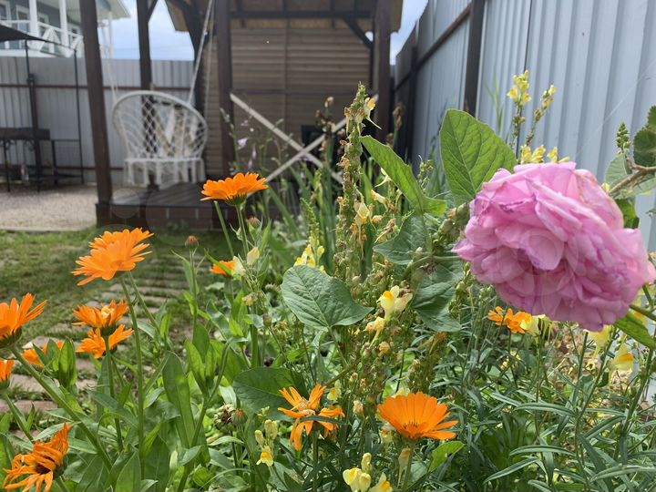 Дом 40 м² на участке 7 сот.