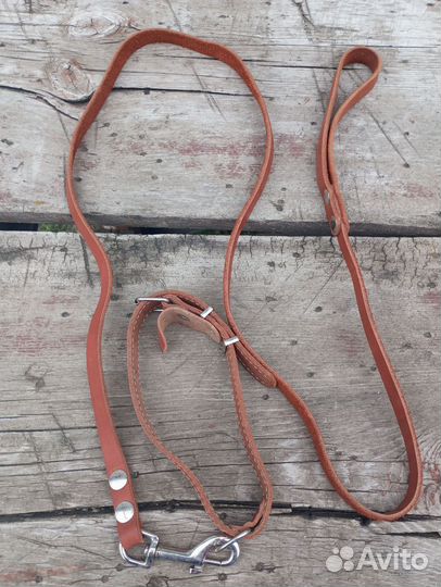 Ошейник для собаки