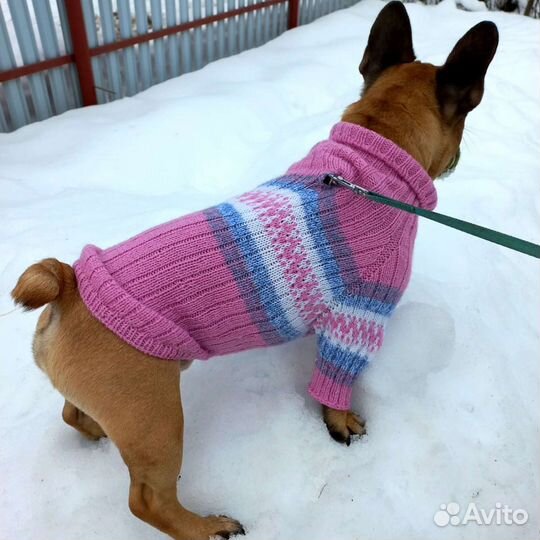 Одежда для собак и кошек