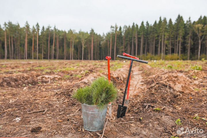 Работа вахтой на севере
