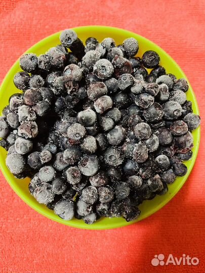 Черника, голубика