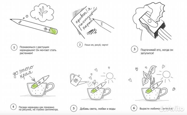 Карандаши с семенами