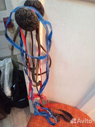 Поводки и ошейники для собак