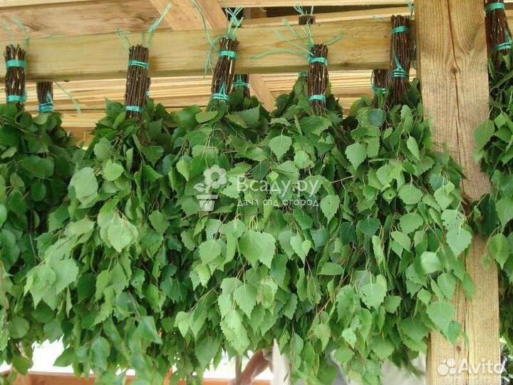 Березовые,дубовые,пихтовые веники