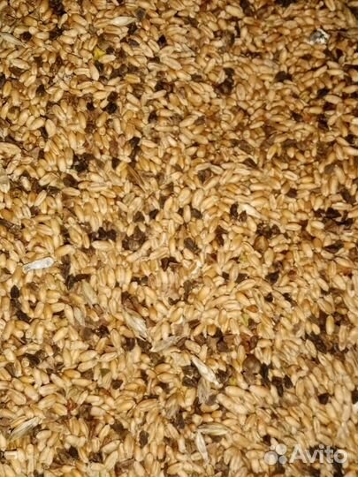 Пшеничные отходы