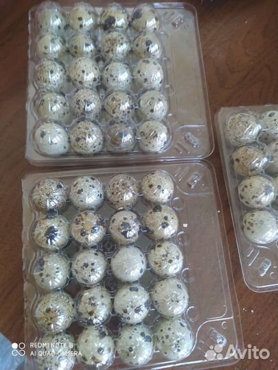 Перепелка. яйцо инкубационное Перепелиное