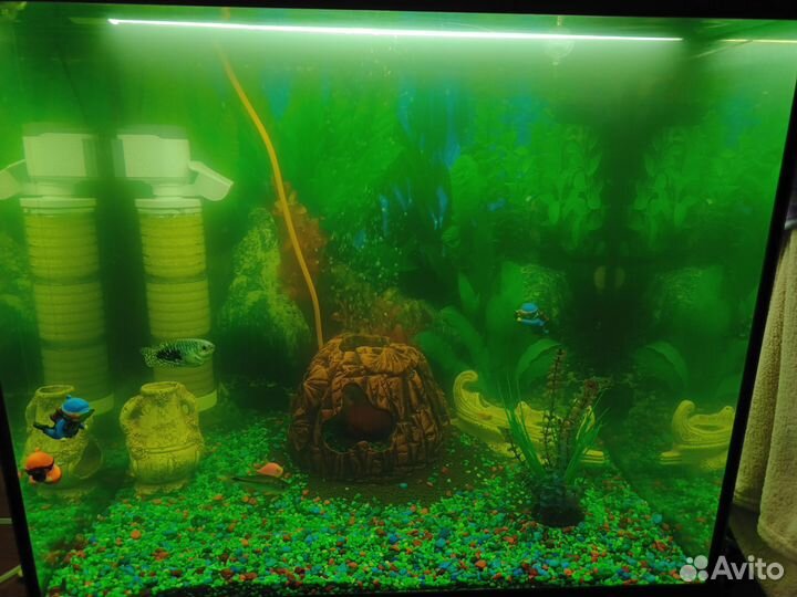 Аквариум