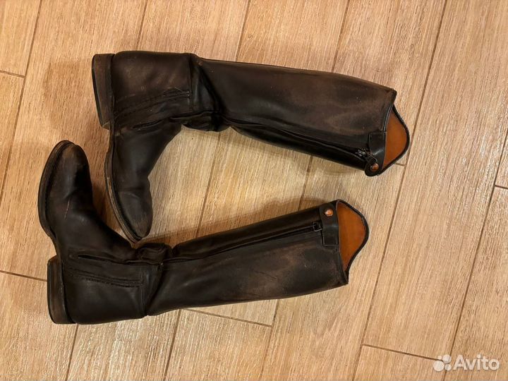 Сапоги выездковые для выездки