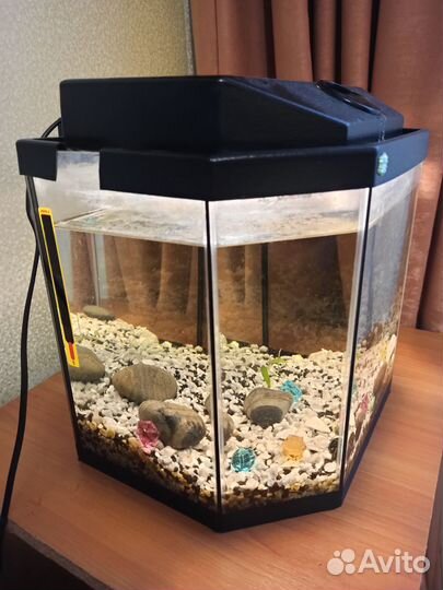 Аквариум 20 литров