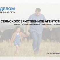 Сельскохозяйственное агентство в городе, Тбилиси